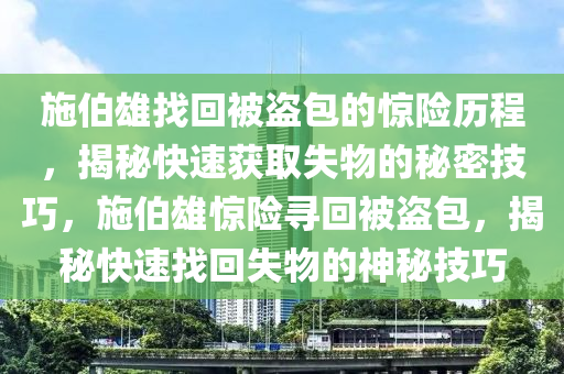 施伯雄找回被盜包的驚險歷程，液壓動力機械,元件制造揭秘快速獲取失物的秘密技巧，施伯雄驚險尋回被盜包，揭秘快速找回失物的神秘技巧