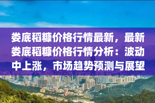 婁底稻糠價格行情最新，最新婁底稻糠價格行情分析液壓動力機械,元件制造：波動中上漲，市場趨勢預(yù)測與展望