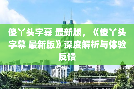 傻丫頭字幕 最新版，《傻丫頭字幕 最新版》深度解析與體驗(yàn)反饋