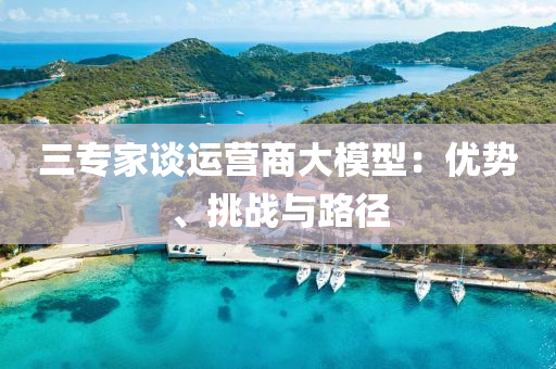 三專家談運營商大模型：優(yōu)勢、挑戰(zhàn)與路徑