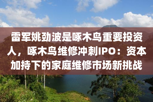 雷軍姚勁波是啄木鳥重要投資人，啄木鳥維修沖刺IPO：資本加持下的家庭維修市場(chǎng)新挑戰(zhàn)