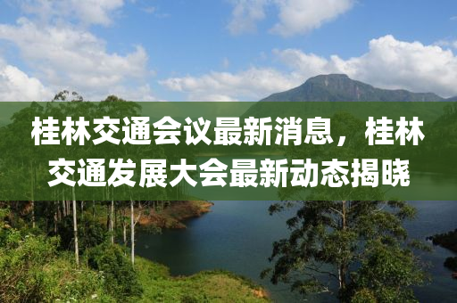 桂林交通會議最新消息，桂林交通發(fā)展大會最新動態(tài)揭曉