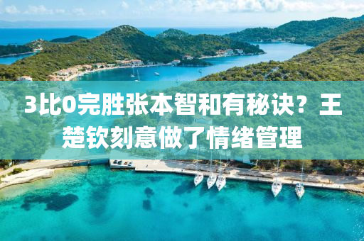 3比0完勝張本智和有秘訣？王楚欽刻意做了情緒管理液壓動力機(jī)械,元件制造