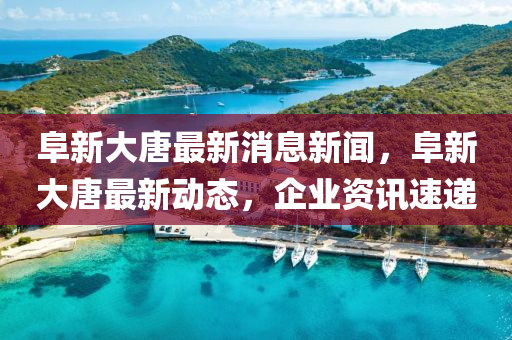 阜新大唐最新消息新聞，阜新大唐最新動態(tài)，企業(yè)資訊速遞液壓動力機(jī)械,元件制造