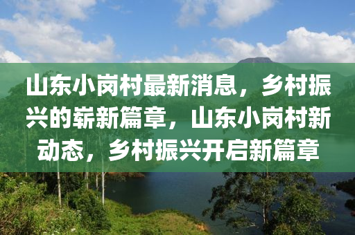 山東小崗村最新消息，鄉(xiāng)村振興的嶄新篇章，山東小崗村新動(dòng)態(tài)，鄉(xiāng)村振興開(kāi)啟新篇章