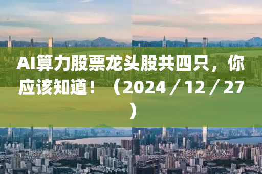 AI算力股票龍頭股共四只，你應(yīng)該知道?。?024／12／27）液壓動(dòng)力機(jī)械,元件制造