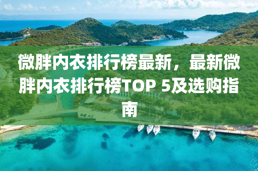 微胖內(nèi)衣排行榜最新，最新微胖內(nèi)衣排行榜TOP 5及液壓動力機(jī)械,元件制造選購指南