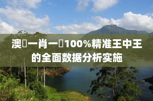 澳門一肖一碼100%精準(zhǔn)王中王的全面數(shù)據(jù)分析實施