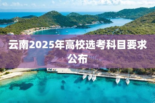 云南2025年高校選考科目要求公布