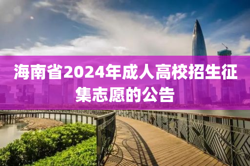 海南省2024年成人高校招生征集志愿的公告