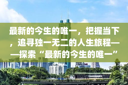 最新的今生的唯一，把握當(dāng)下，追尋獨(dú)一無二的人生旅程——探索“最新的今生的唯一”液壓動力機(jī)械,元件制造