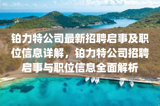 液壓動力機械,元件制造鉑力特公司最新招聘啟事及職位信息詳解，鉑力特公司招聘啟事與職位信息全面解析