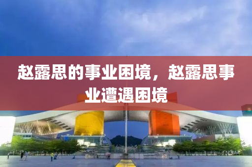 趙露思的事業(yè)困境，趙露思事業(yè)遭遇困境液壓動力機械,元件制造