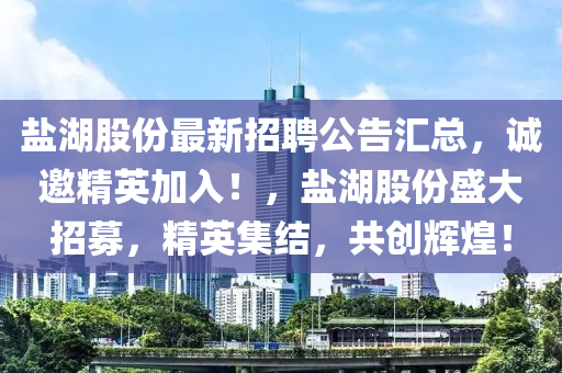 鹽湖股份最新招聘公告匯總，誠邀精英加入！，鹽湖股份盛大招募，精英集結，共創(chuàng)輝煌！液壓動力機械,元件制造