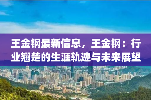 王金鋼最新信息，王金鋼：行業(yè)翹楚的生涯軌跡與未來展望