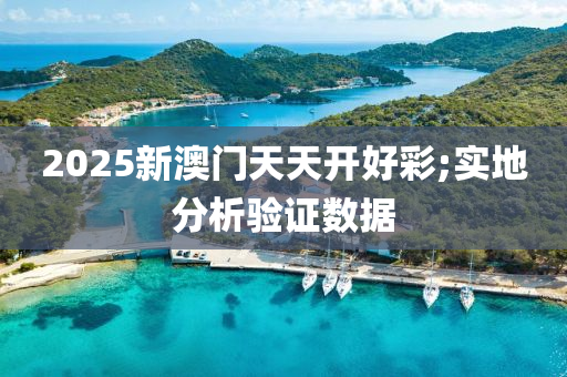 2025新澳門天天開好彩;實地分析驗證數(shù)據(jù)