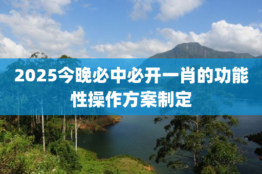 2025今晚必中必開一肖的功能性操作方案制定