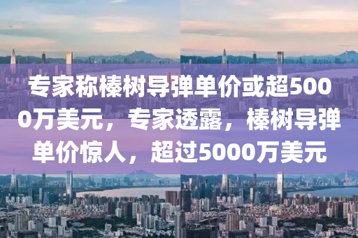 專家稱榛樹導彈單價或超5000萬美元，專家透露，榛樹導彈單價驚人，超過5000萬美元液壓動力機械,元件制造