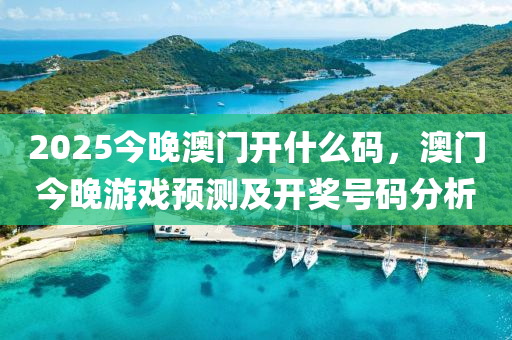 2025今晚澳門開什么碼，澳門今晚游戲預測及開獎號碼分析液壓動力機械,元件制造