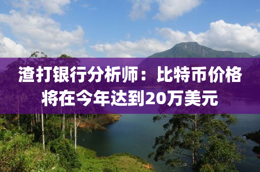 渣打銀行分析師：比特幣價格將在今年達到20萬美元液壓動力機械,元件制造