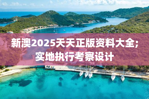 新澳2025天天正版資料大全;實地執(zhí)行考察設(shè)計液壓動力機(jī)械,元件制造