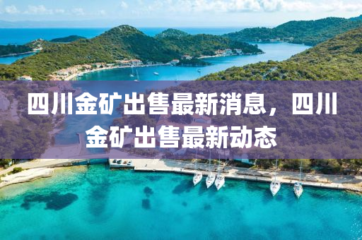 四川金礦出售最新消息，四川金礦出售最新動態(tài)液壓動力機械,元件制造