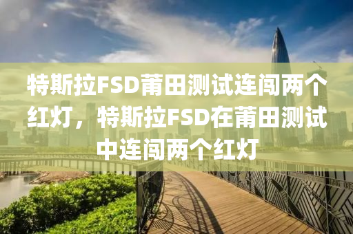 特斯拉FSD