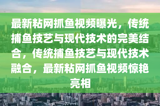 最新粘網(wǎng)抓魚視頻曝光，傳統(tǒng)捕魚技藝與現(xiàn)代技術(shù)的完美結(jié)合，傳統(tǒng)捕魚技藝與現(xiàn)代技術(shù)融合，最新粘網(wǎng)抓魚視頻驚艷亮相液壓動力機(jī)械,元件制造