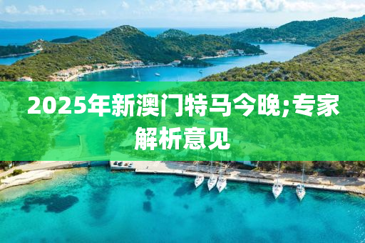 2025年新澳門特馬今晚;專家解液壓動力機械,元件制造析意見