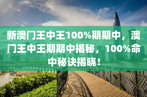 新澳門王中王100%期期中，澳門王中王期期中揭秘液壓動力機械,元件制造，100%命中秘訣揭曉！