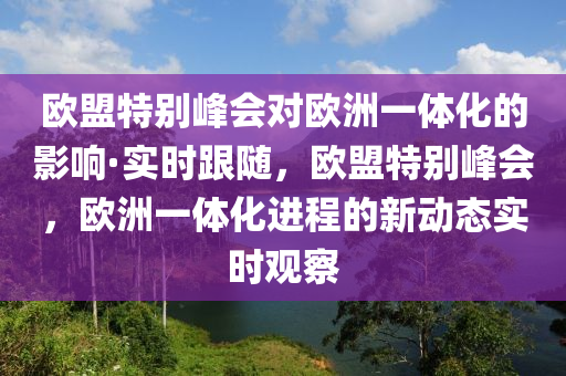 歐盟特別峰會(huì)對(duì)歐洲一體化的影響·實(shí)時(shí)跟隨，歐盟特別峰會(huì)，歐洲一體化進(jìn)程的新動(dòng)態(tài)實(shí)時(shí)觀察液壓動(dòng)力機(jī)械,元件制造