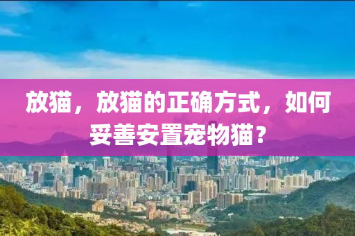 放貓，放貓的正確方式，如何妥善安置寵物液壓動力機械,元件制造貓？