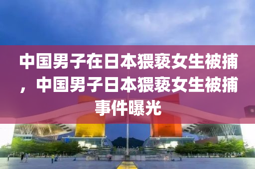 中國男子在日本猥褻女生被捕，中國男子日本猥褻女生被捕事件曝光液壓動力機(jī)械,元件制造