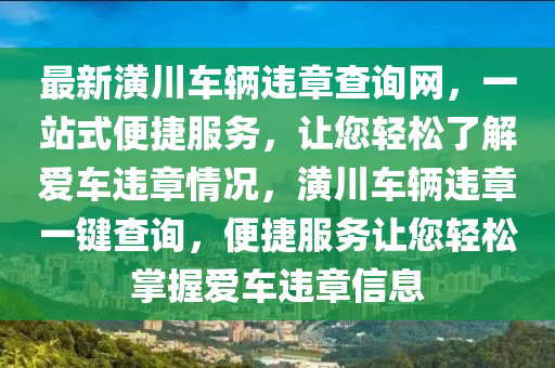 最新潢川車輛違章查詢網(wǎng)，一站式便捷服務(wù)，讓您輕松了解愛車違章情況，潢川車輛違章一鍵查詢，便捷服務(wù)讓您輕松掌握愛車違章信息液壓動(dòng)力機(jī)械,元件制造