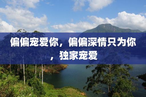 偏偏寵愛你，偏偏深情只為你，獨液壓動力機械,元件制造家寵愛