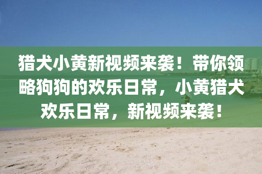 獵犬小黃新視頻來襲！帶你領(lǐng)略狗狗的歡樂日常，小黃獵犬歡樂日常，新視頻來襲！液壓動(dòng)力機(jī)械,元件制造