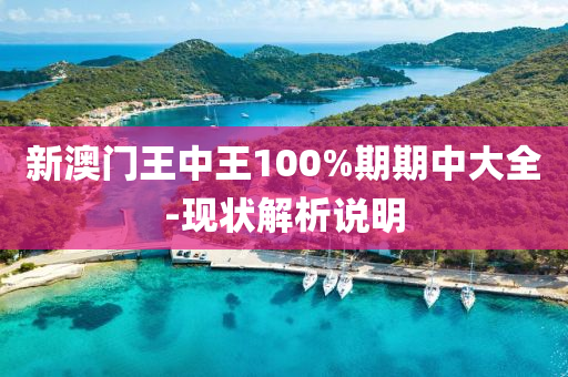 新澳門王中王100%期期中大全-現(xiàn)狀解析說(shuō)明