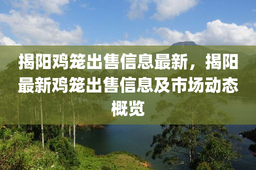 揭陽雞籠出售信息最新，揭陽最新雞籠出售信息及市場動態(tài)概覽