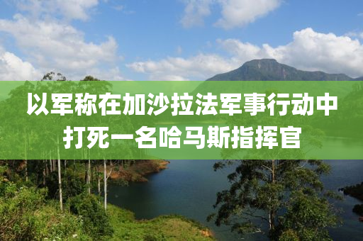 以軍稱在加沙拉法軍事行動中打死一名哈馬斯指揮官