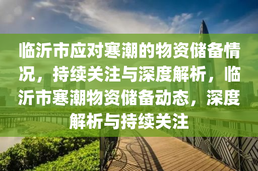 臨沂市應對寒潮的物資儲備情況，持續(xù)關注與深度解析，臨沂市寒潮物資儲備動態(tài)，深度解析與持續(xù)關注液壓動力機械,元件制造