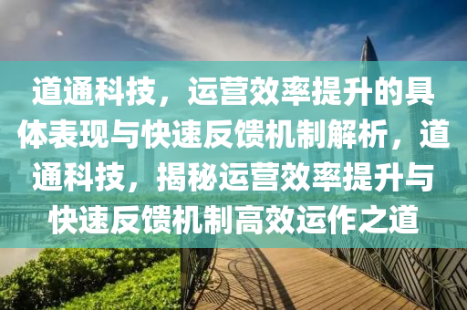 道通科技，運營效率提升的具體表現(xiàn)與快速反饋機制解析，道通科技，揭秘運營效率提升與快速反饋機制高效運作之道液壓動力機械,元件制造