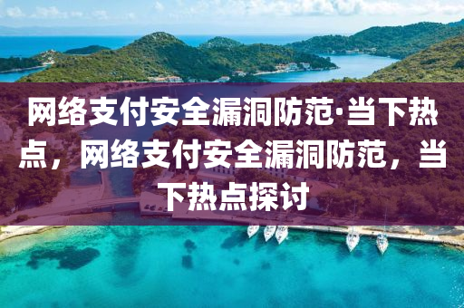 液壓動力機械,元件制造網(wǎng)絡支付安全漏洞防范·當下熱點，網(wǎng)絡支付安全漏洞防范，當下熱點探討