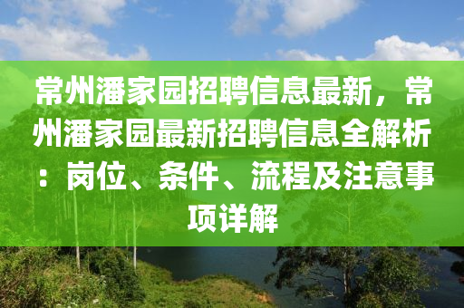 常州潘家園招聘信息最新，常州潘家園最新招聘信息全解析：崗位、條件、流程及注意事項詳解