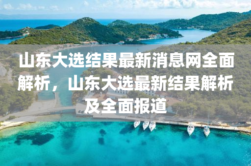 山東大選結果最新消息網(wǎng)全面解析，山東大選最新結果解析及全面報道