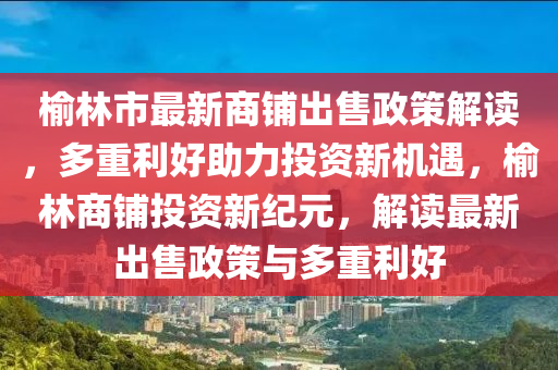 榆林市最新商鋪出售政策解讀，多重利好助力投資新機(jī)遇，榆林商鋪投資新紀(jì)元，解讀最新出售政策與多重利好