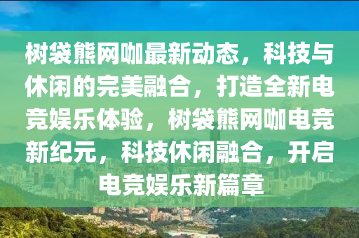 樹袋熊網(wǎng)咖最新動態(tài)，科技與休閑的完美融合，打造全新電競娛樂體驗(yàn)，樹袋熊網(wǎng)咖電競新紀(jì)元，科技休閑融合，開啟電競娛樂新篇章