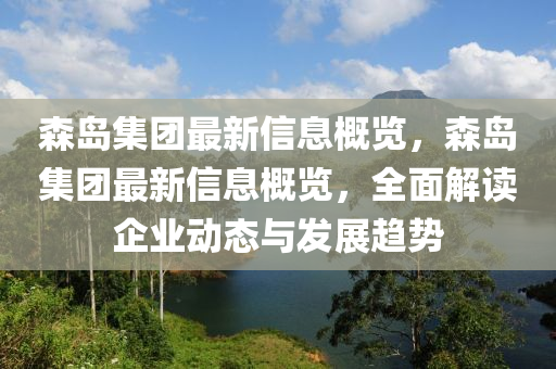 森島集團(tuán)最新信息概覽，森島集團(tuán)最新信息概覽，全面解讀企業(yè)動(dòng)態(tài)與發(fā)展趨勢(shì)