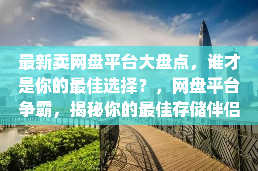 最新賣網(wǎng)盤平臺(tái)大盤點(diǎn)，誰(shuí)才是你的最佳選擇？，網(wǎng)盤平臺(tái)爭(zhēng)霸，揭秘你的最佳存儲(chǔ)伴侶