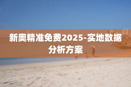 新奧精準(zhǔn)免費(fèi)2025-實(shí)地?cái)?shù)據(jù)分析方案