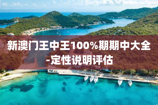 新澳門王中王100%期期中大全-定性說明評估